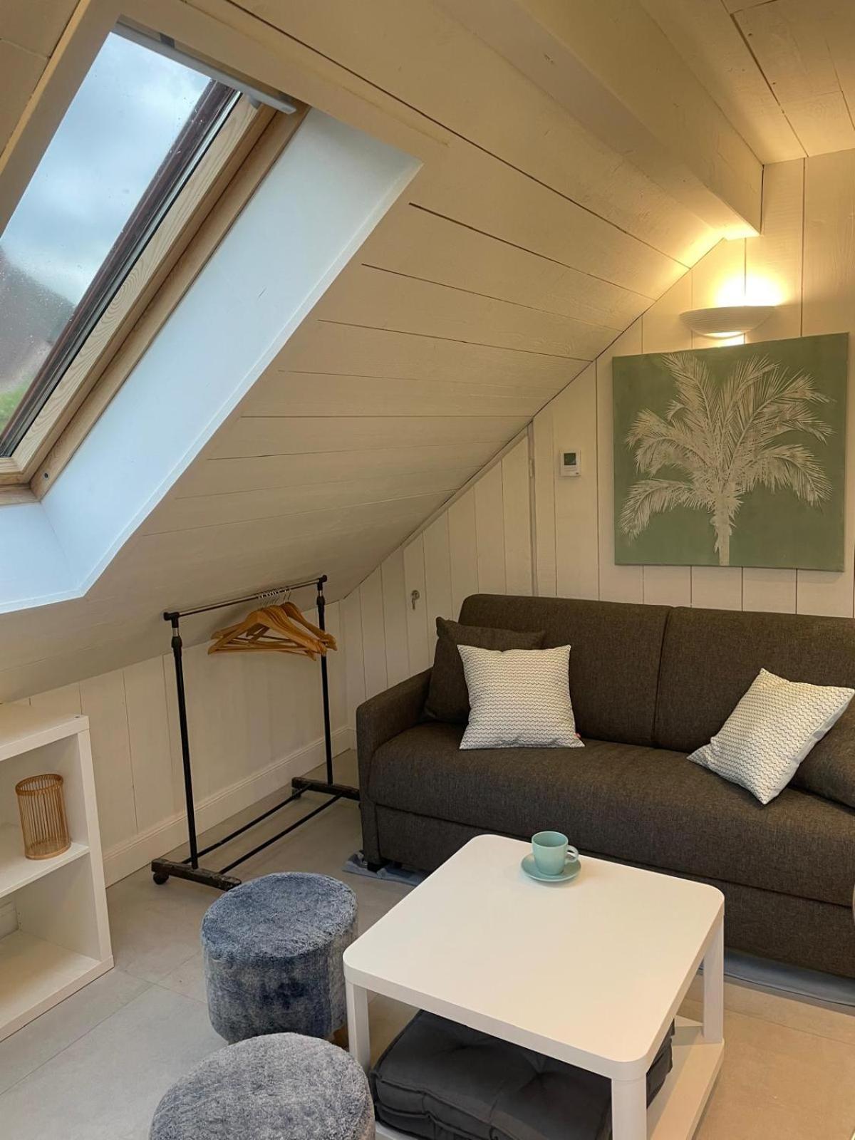 La Baie des Voiles 3 chambres 4 à 6 personnes au bord du lac plage privée Duingt Extérieur photo