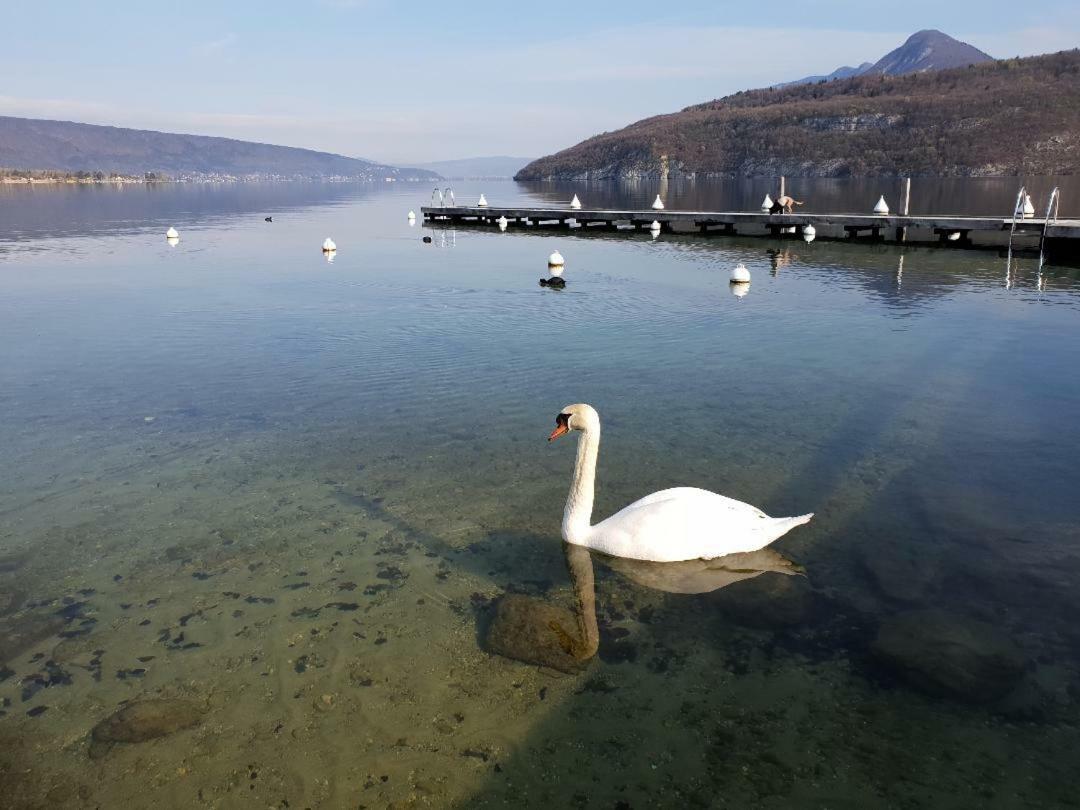 La Baie des Voiles 3 chambres 4 à 6 personnes au bord du lac plage privée Duingt Extérieur photo